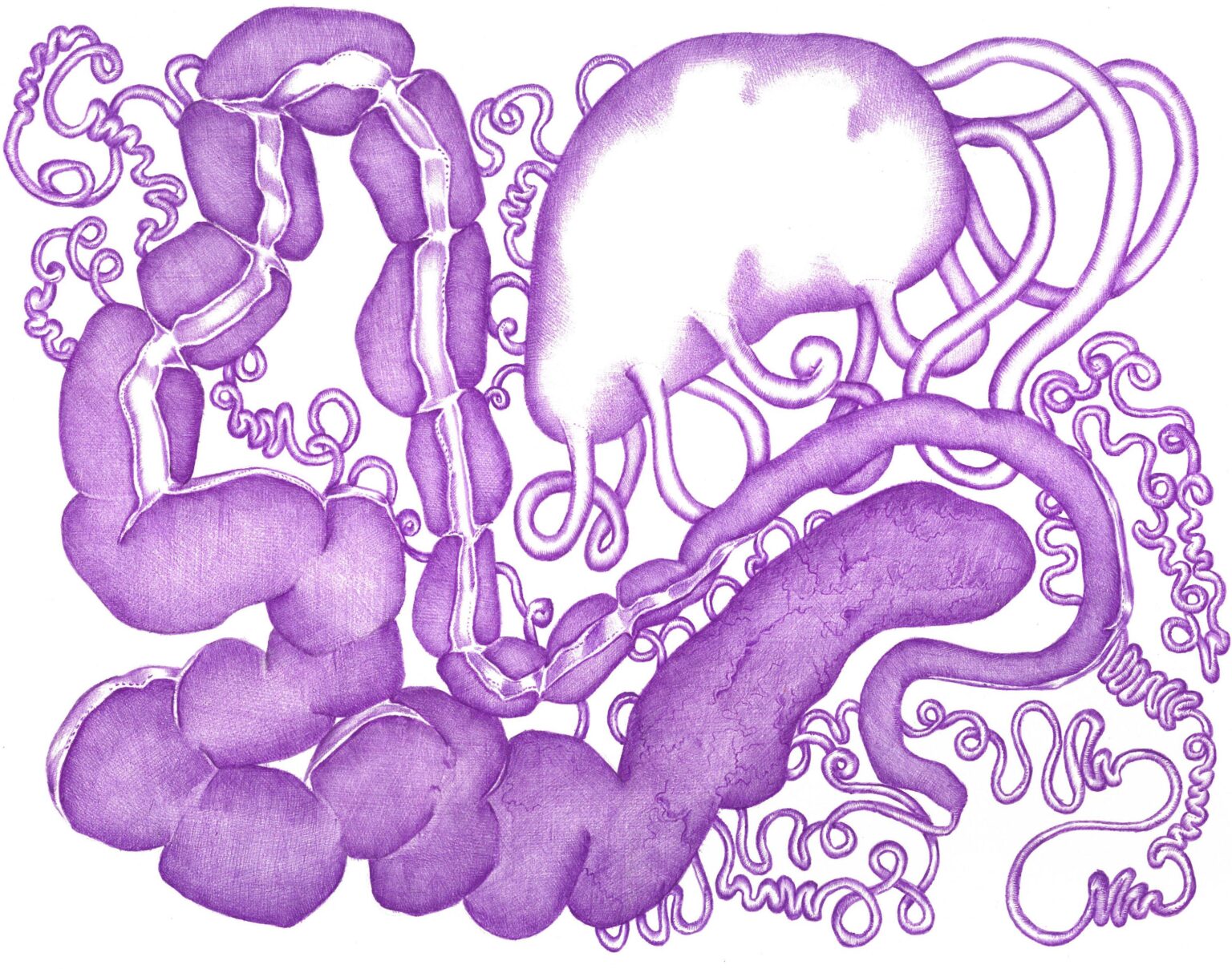 Fleur du Mal X - Assunta Abdel Azim Mohamed 