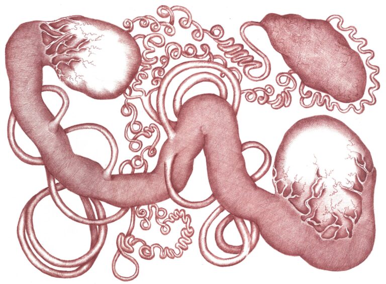 Fleur du Mal VII - Assunta Abdel Azim Mohamed 