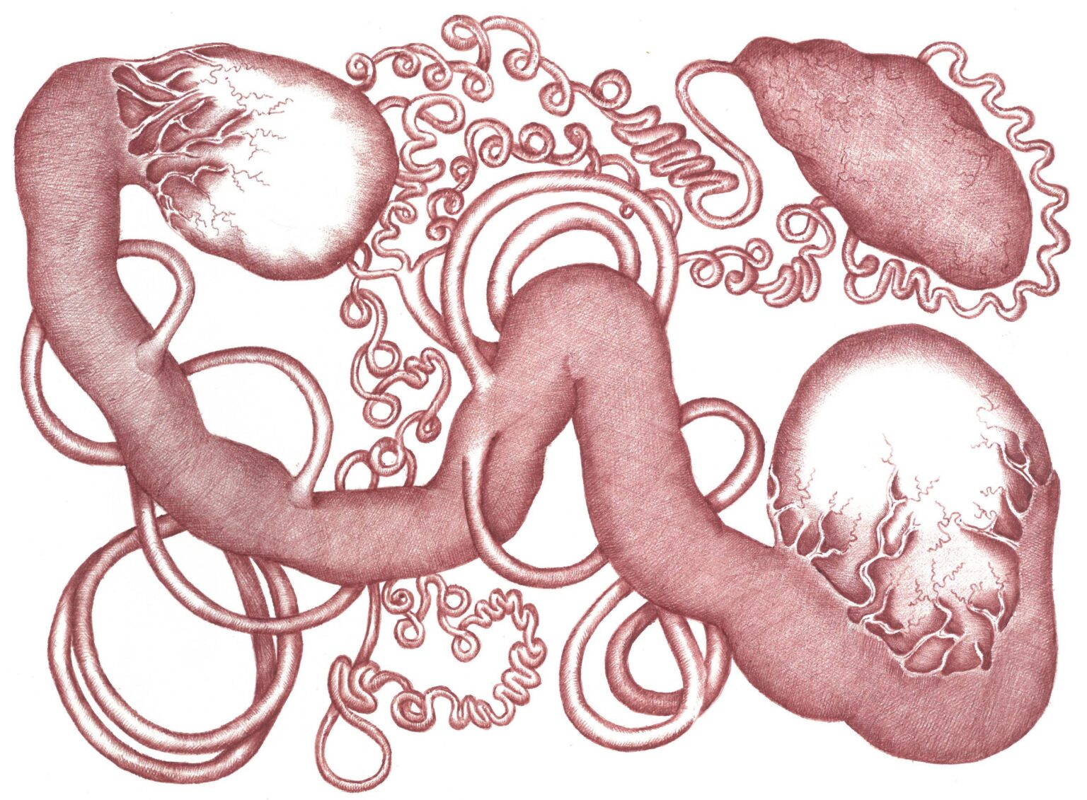 Fleur du Mal VII - Assunta Abdel Azim Mohamed 