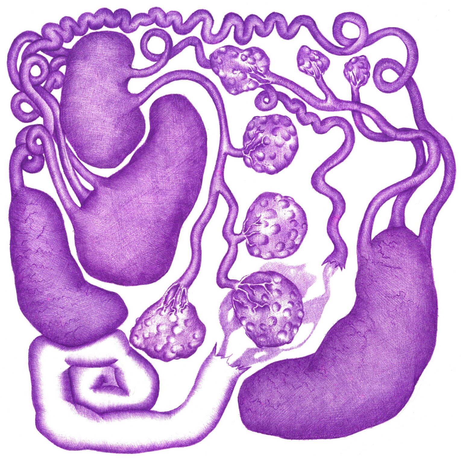 Fleur du Mal VI - Assunta Abdel Azim Mohamed 