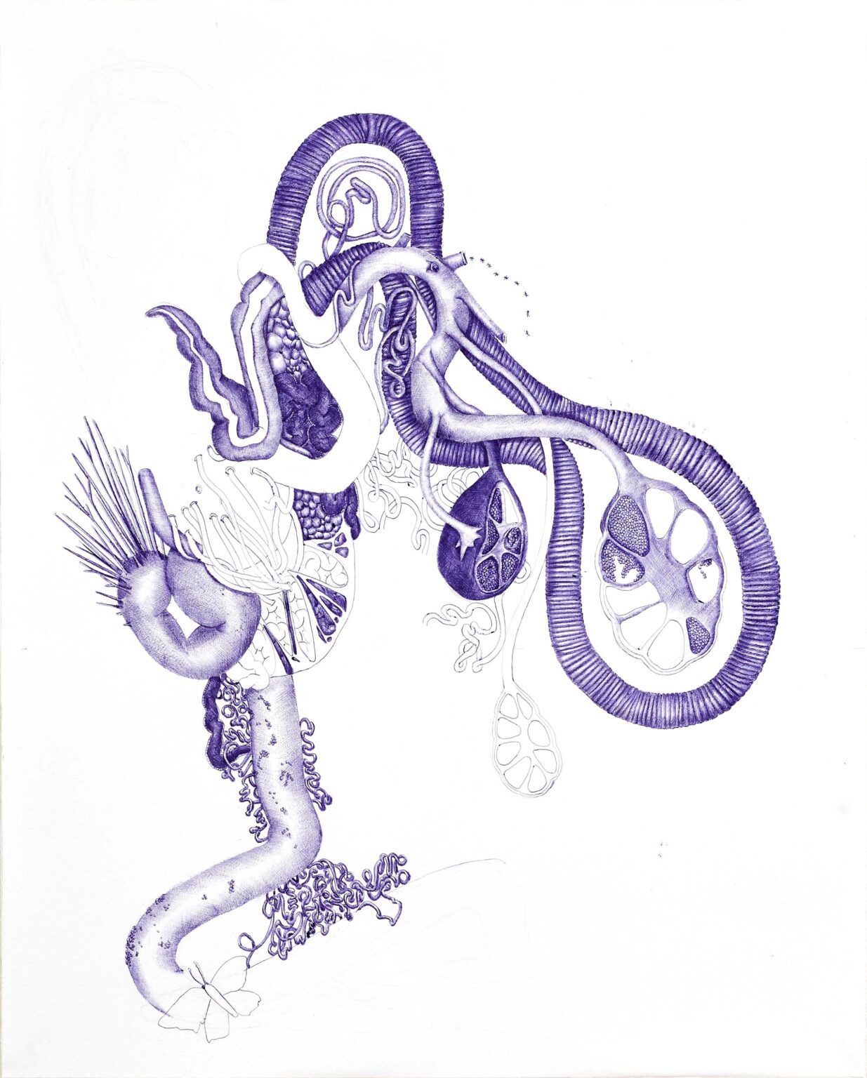 (In)Complete II - Assunta Abdel Azim Mohamed 