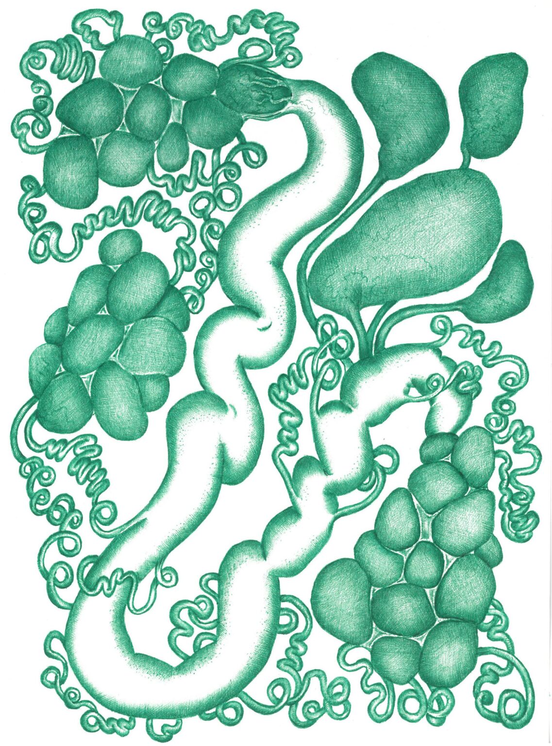 Fleur du Mal VIII - Assunta Abdel Azim Mohamed 