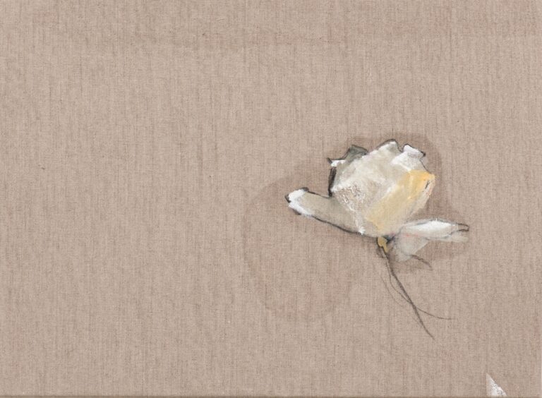 Magnolie - Peter Krawagna 