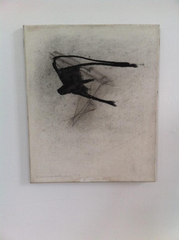 Schwalbe - Peter Krawagna teamspring ImportFile size: large (1296 x 968 px)