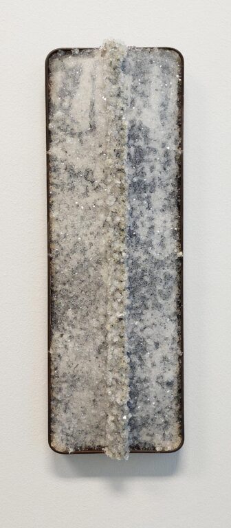 B/W - Noushin Redjaian 