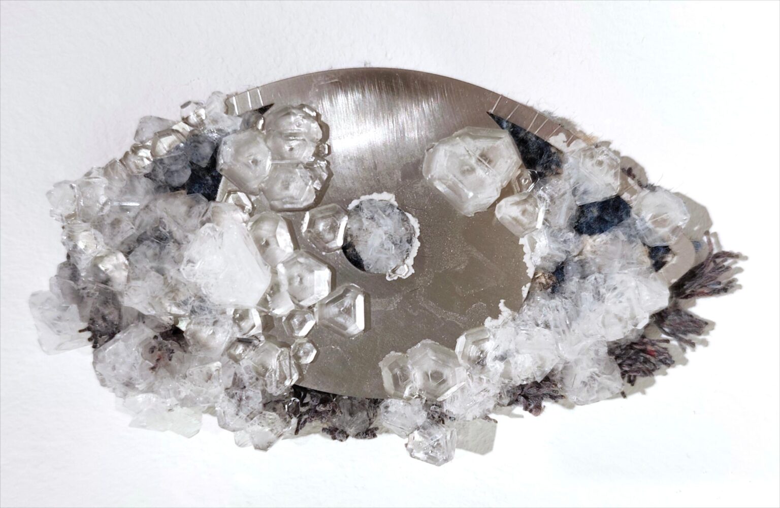 Auge - Noushin Redjaian 