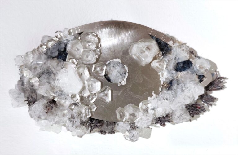 Auge - Noushin Redjaian 