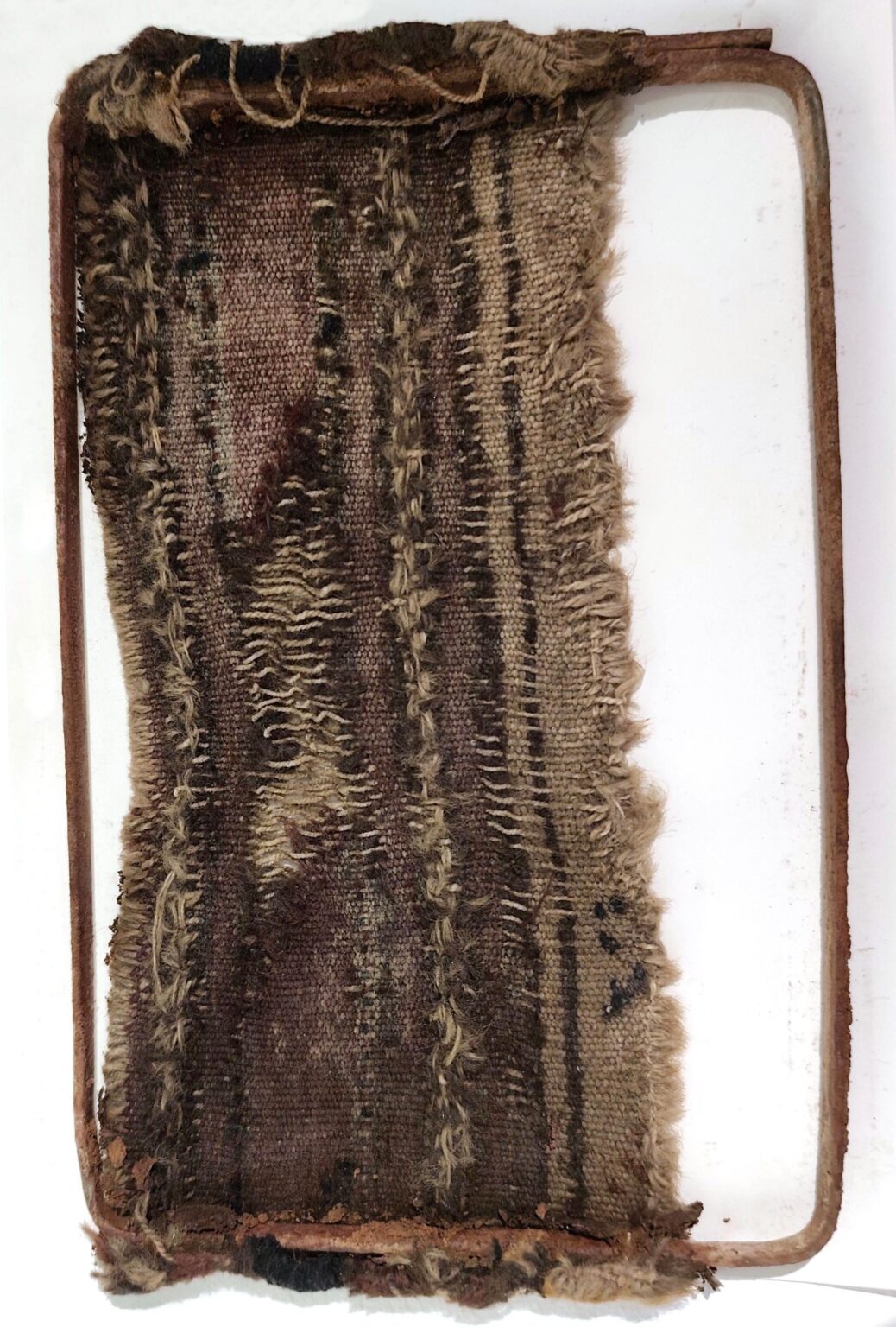 Triffle with me - Noushin Redjaian 