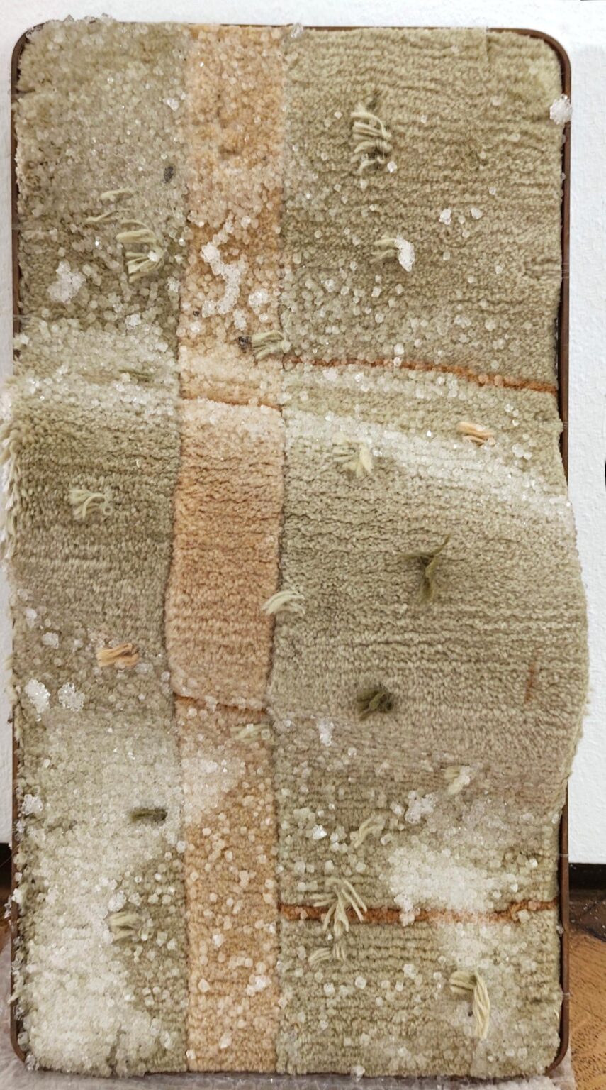 In search for home - Noushin Redjaian 