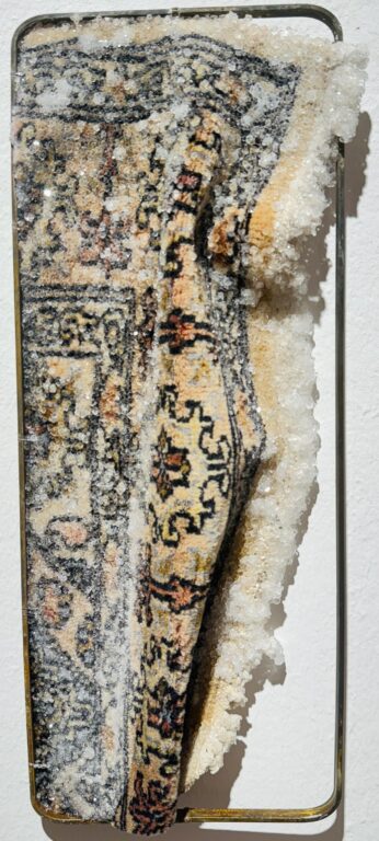 Coziness - Noushin Redjaian 