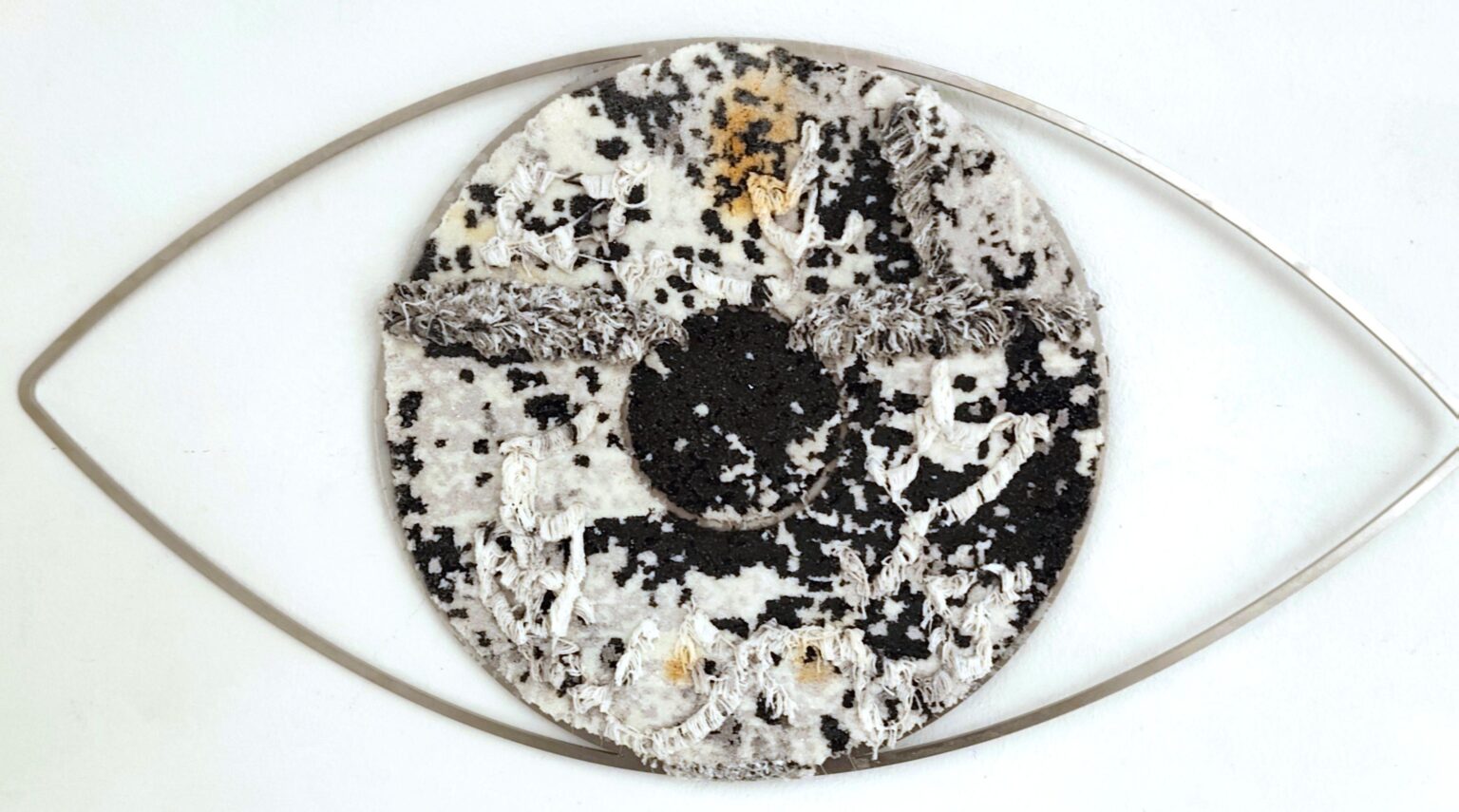 B/W eyes II - Noushin Redjaian 