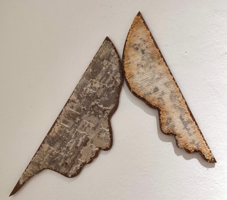 Sharing life - Noushin Redjaian 