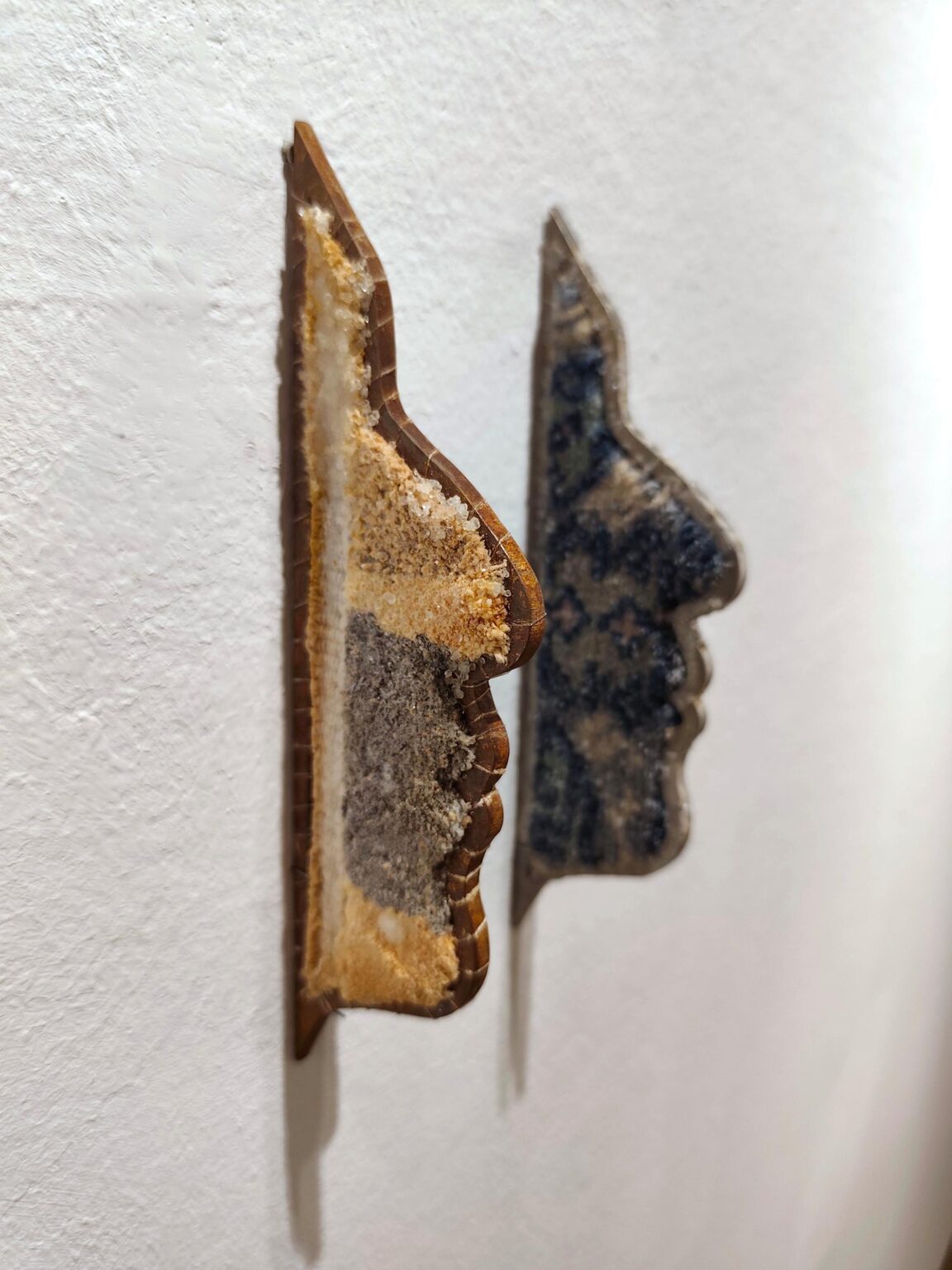 Sharing life - Noushin Redjaian 