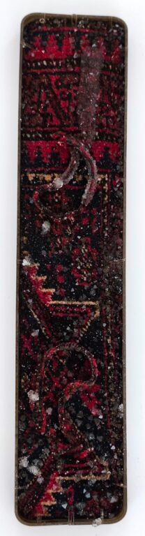 Feeling taller than the others - Noushin Redjaian 