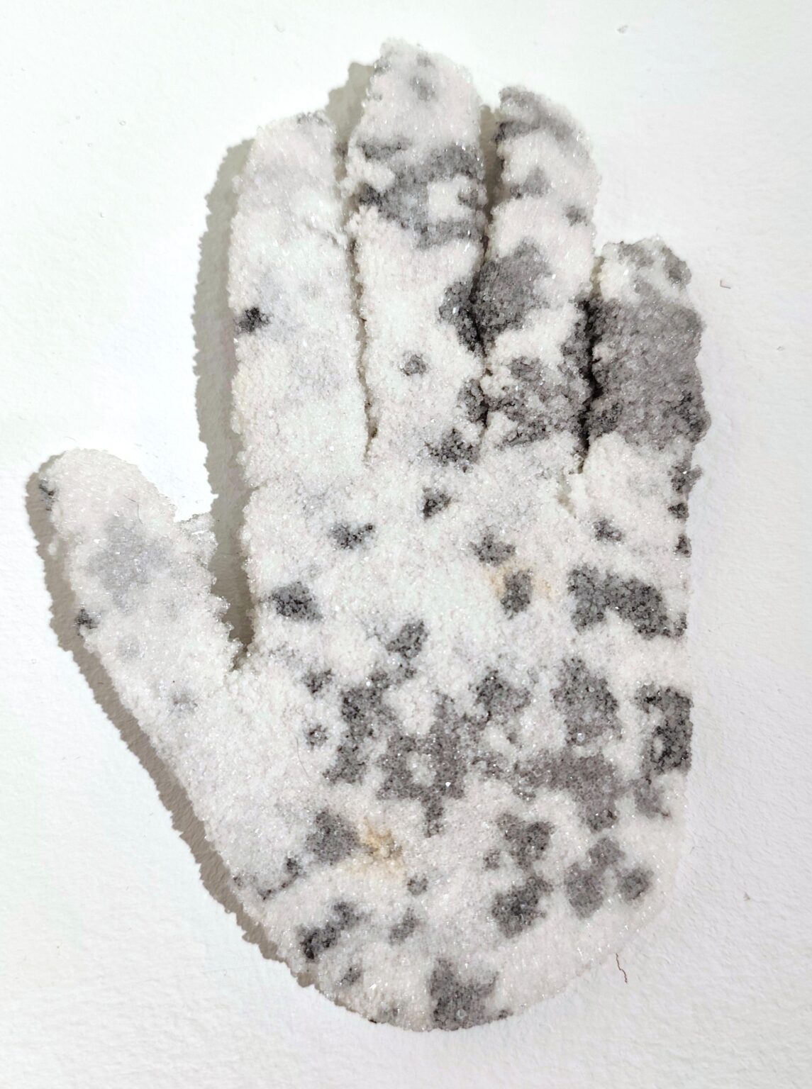 Hand rechts - Noushin Redjaian 