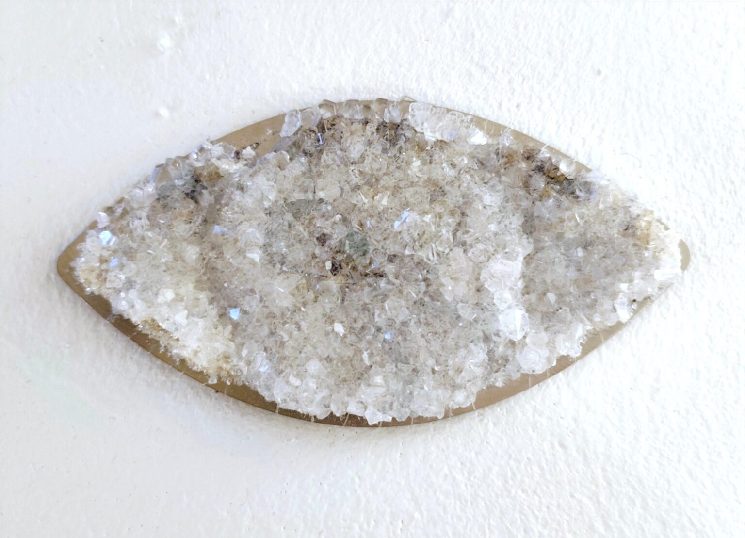 Auge - Noushin Redjaian 