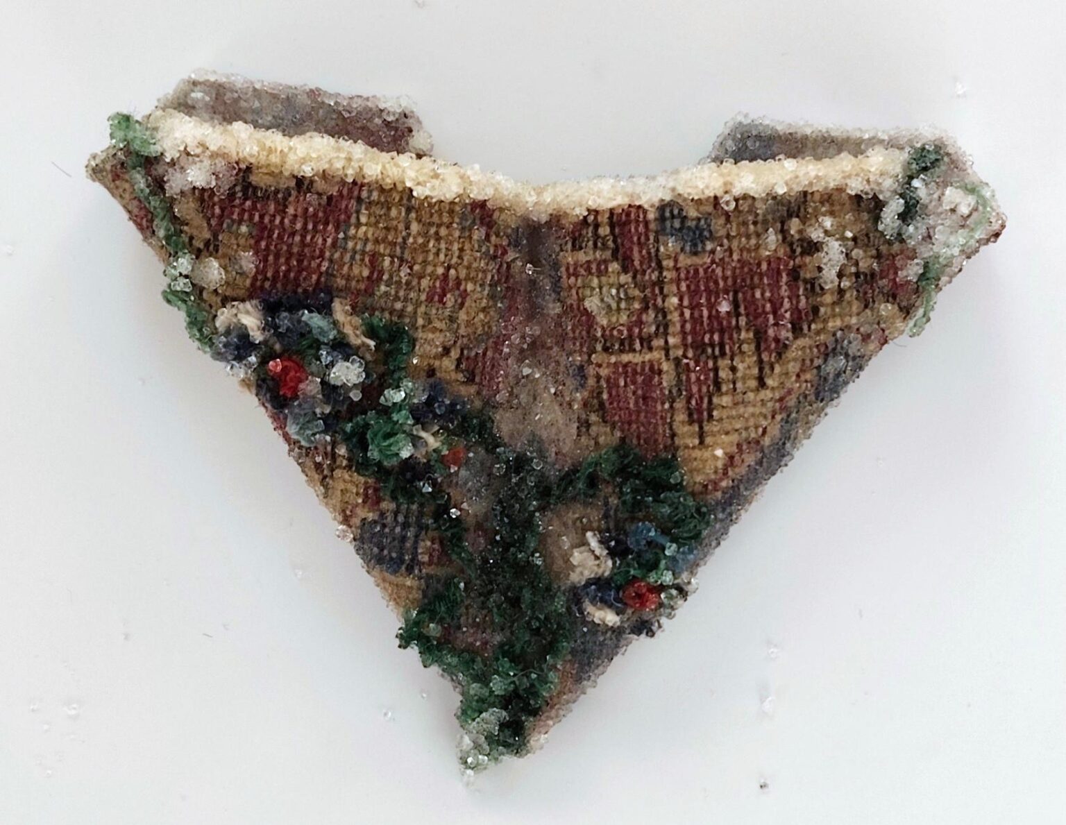 Two eggs are living here - Noushin Redjaian 