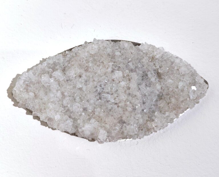 Auge - Noushin Redjaian 