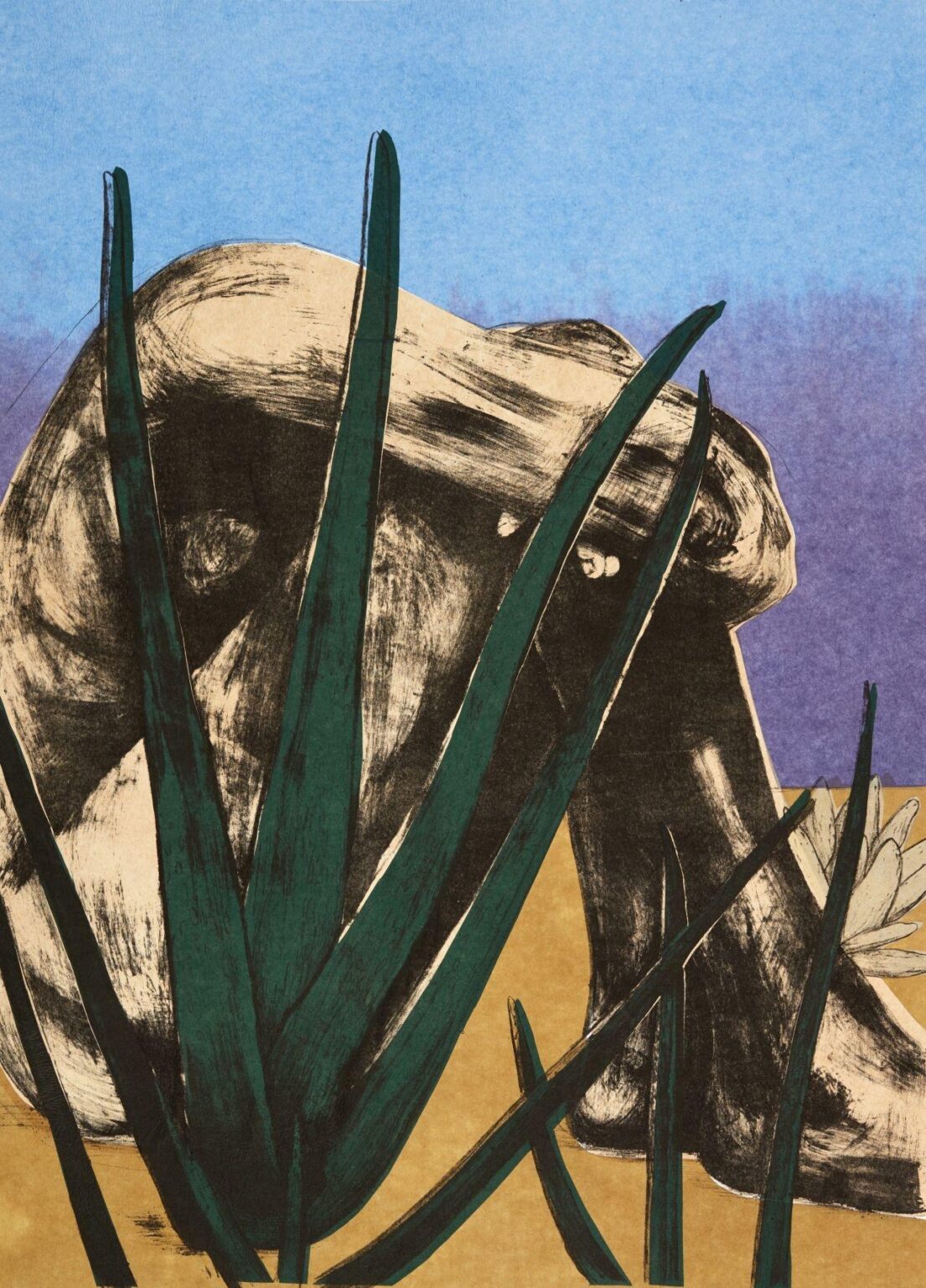 Aloe - Eva Yurkov&aacute; 