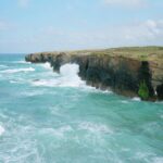 teamspring ImportFile size: large (1181 x 1503 px)