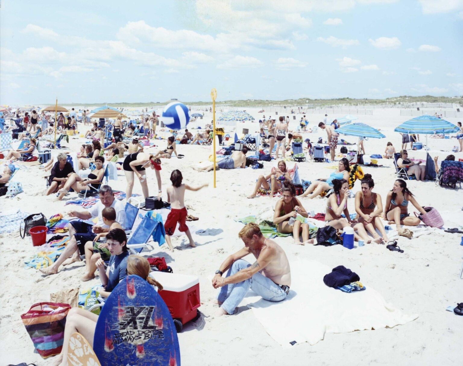 Smith point dead dogs#2400 - Massimo Vitali 