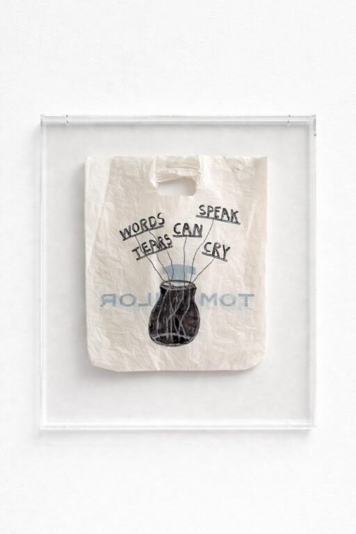 Letter No. 221 - Driton Selmani 