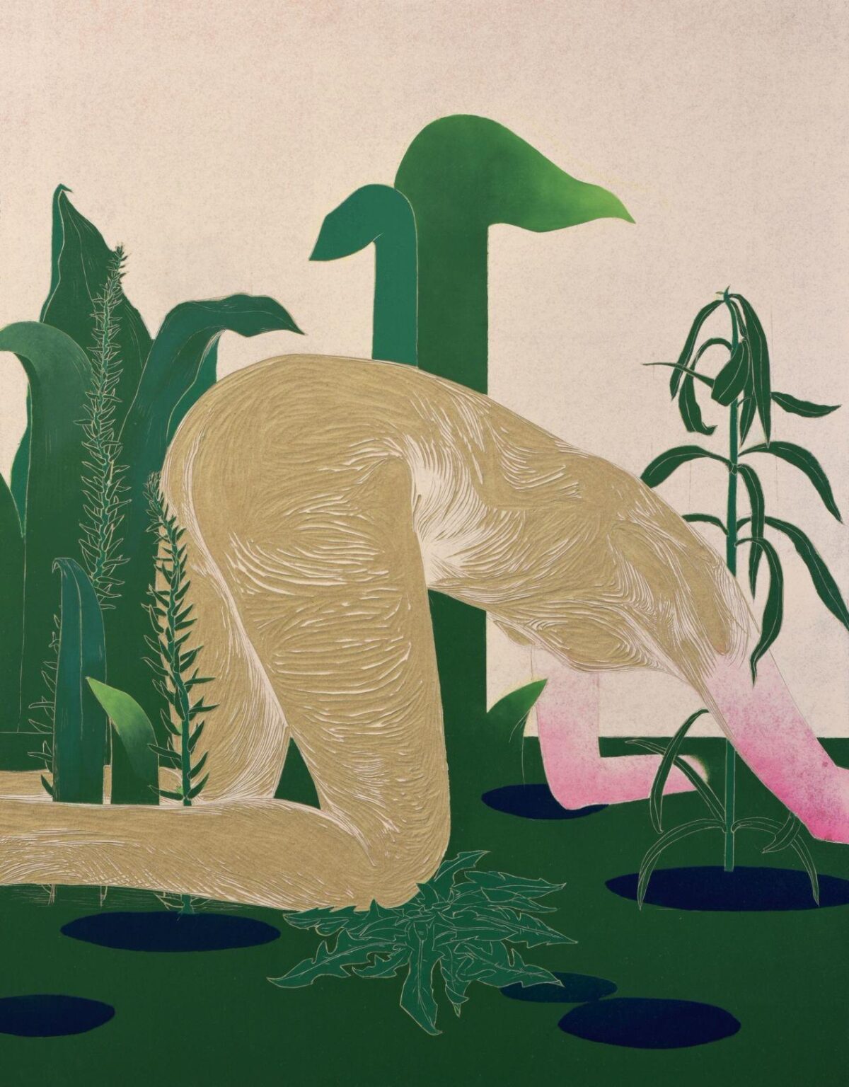 Dandelions - Eva Yurkov&aacute; 