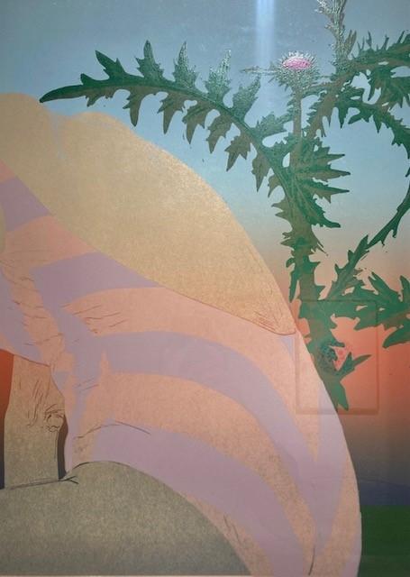 Thistle - Eva Yurkov&aacute; 