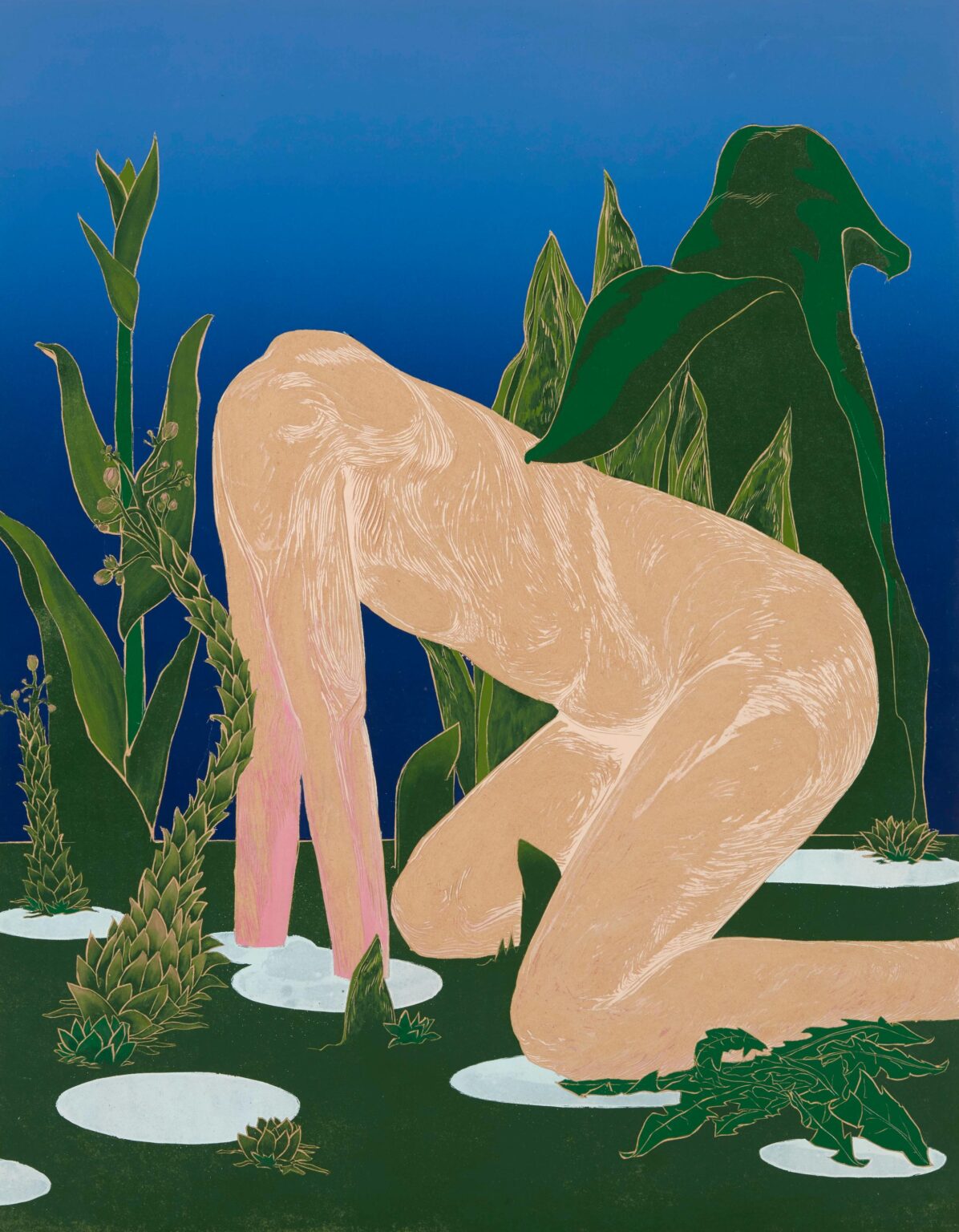 Sukkulenten - Eva Yurkov&aacute; 