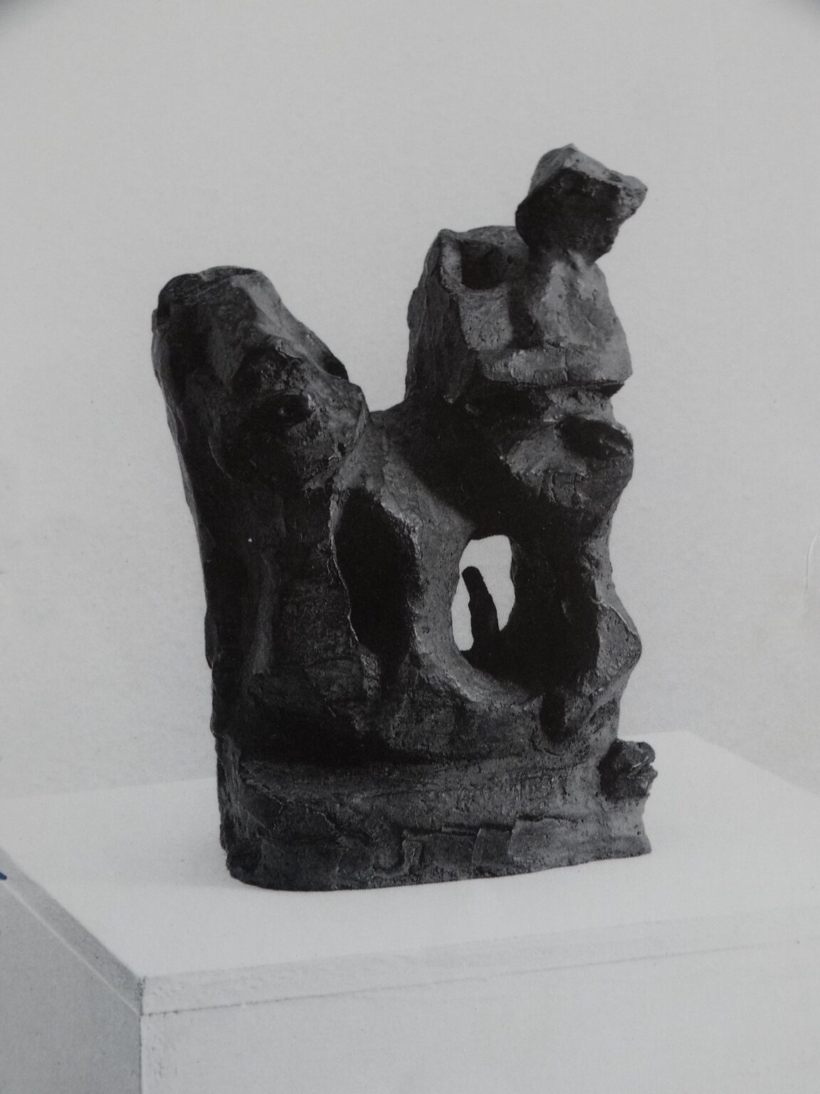 Paarkopfsteher - Gunter Damisch 
