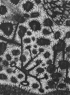 Horizontweltkonstruktort - Gunter Damisch teamspring ImportFile size: small (320 x 236 px)