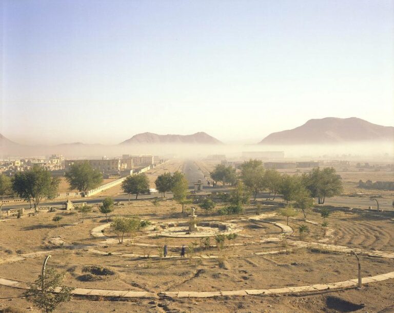 Afghanistan #14, Darulaman #1 - Brian McKee 