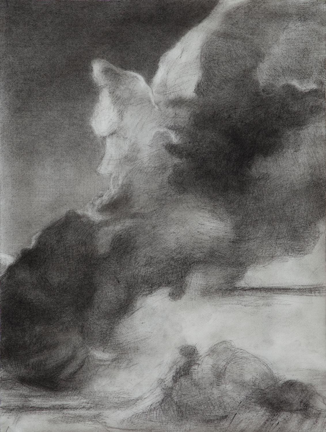 Wolke IV - Rainer W&ouml;lzl 