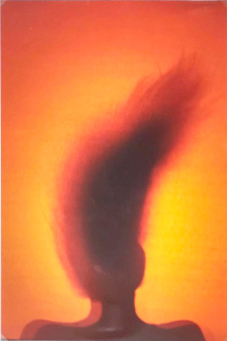 Shadow hair - Leiko Ikemura 