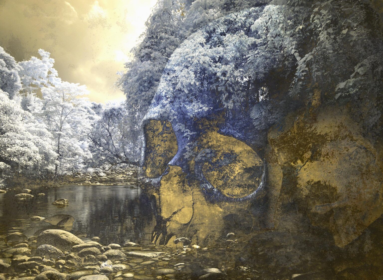 Take solace in the twilight - Danie Mellor 