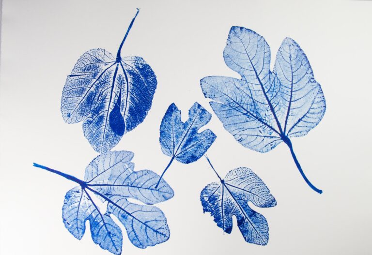 Feigenblätter Variation  II - Alfred Ullrich 