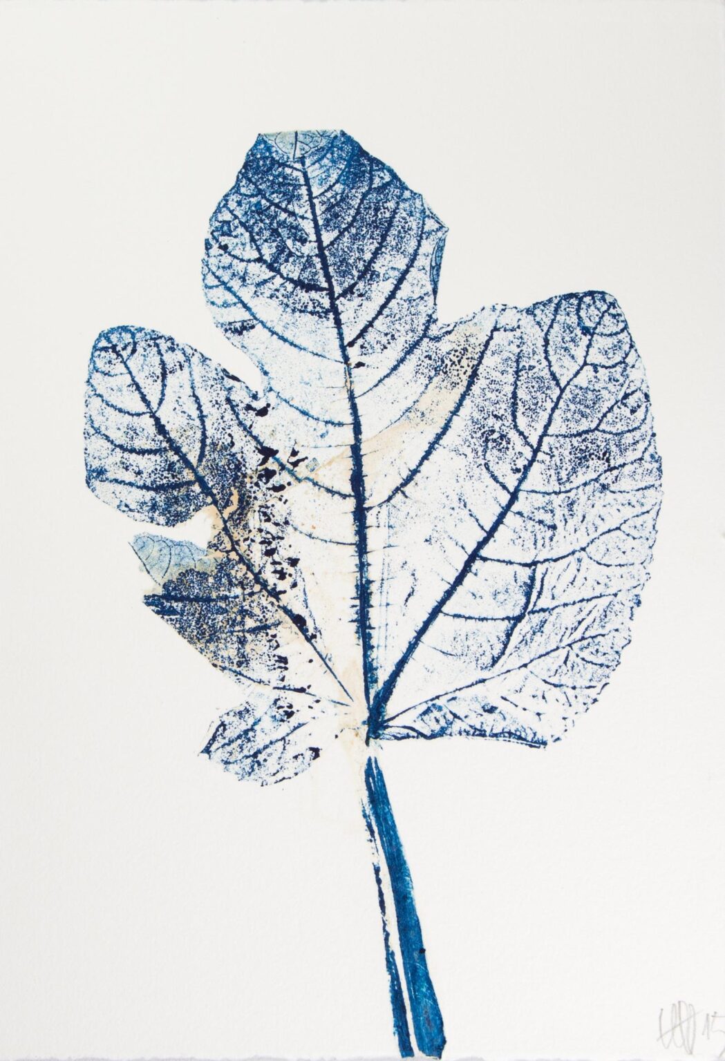 Feigenblatt III - Alfred Ullrich 