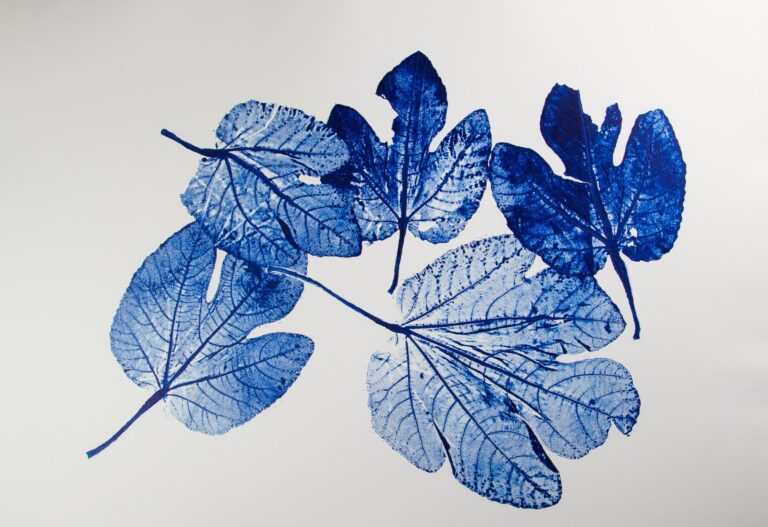 Feigenblätter Variation  IV - Alfred Ullrich 