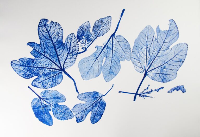 Feigenblätter Variation  III - Alfred Ullrich 