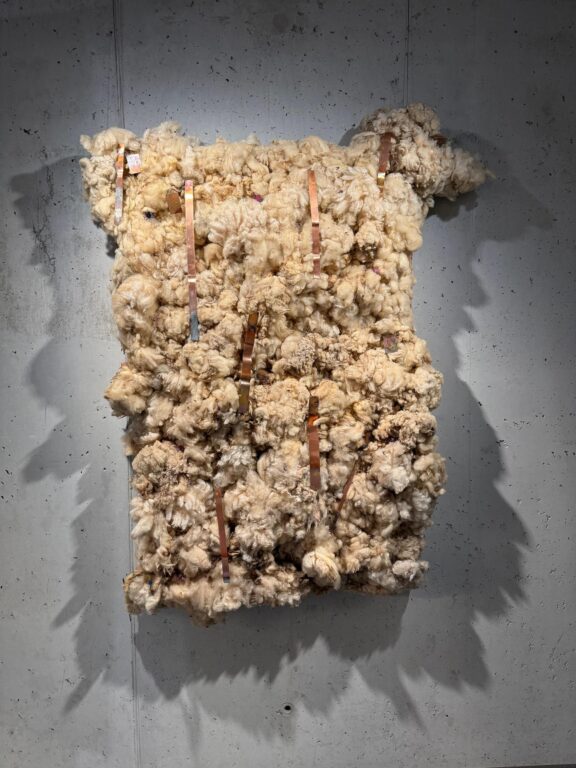 News from the Chalcolithic period - David Weiss 