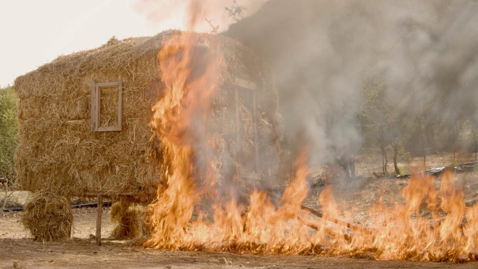 Penaa Menge Tchi &ndash; (Wir sagen nichts) - Lila Loisse 