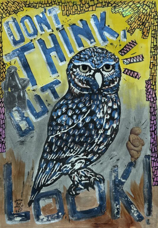 Don’t Think, but look! - David Weiss 
