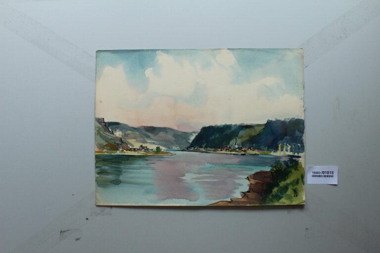 Der Rhein mit St. Goarsf…? in St. Goar - Gerd Baukhage 