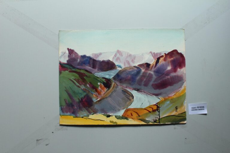 Gepatschgletscher mit F…? - Gerd Baukhage 