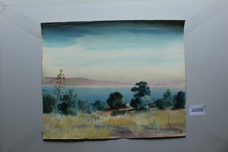 Blick auf den Golf von Ajaccio (7) - Gerd Baukhage 