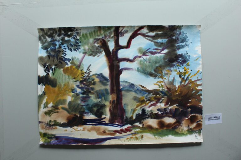 Pinien b. St. Paul de Masole (Provence) - Gerd Baukhage 