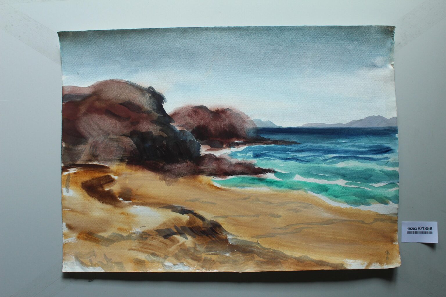 Pinto del Papagajo Lanzarote - Gerd Baukhage 