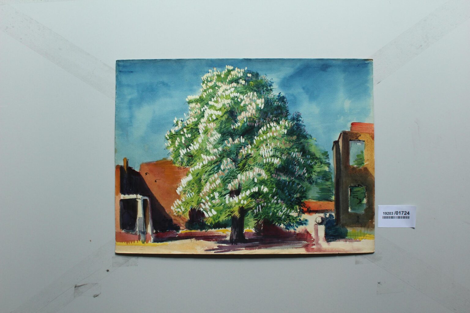 blühender Jasmin - Gerd Baukhage 