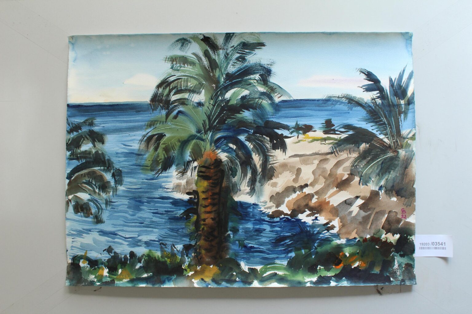 Küste bei Funchal (Madeira) - Gerd Baukhage 