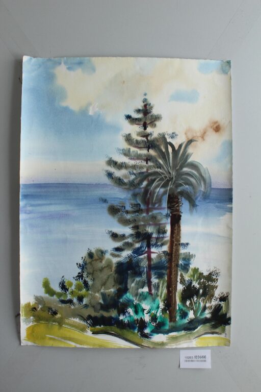 Funchal (Madaira) - Gerd Baukhage 